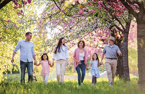 A family walking beneath blooming trees A family walking beneath blooming trees